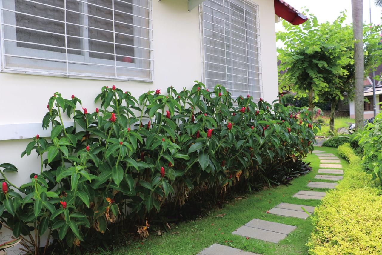 Diyar Villas Puncak NB3/3 Exterior foto
